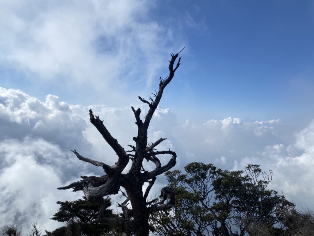 北大武雲海