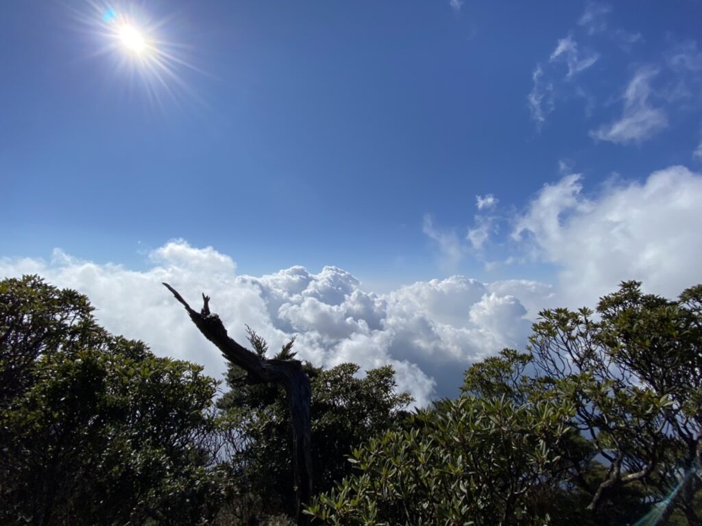 雲海